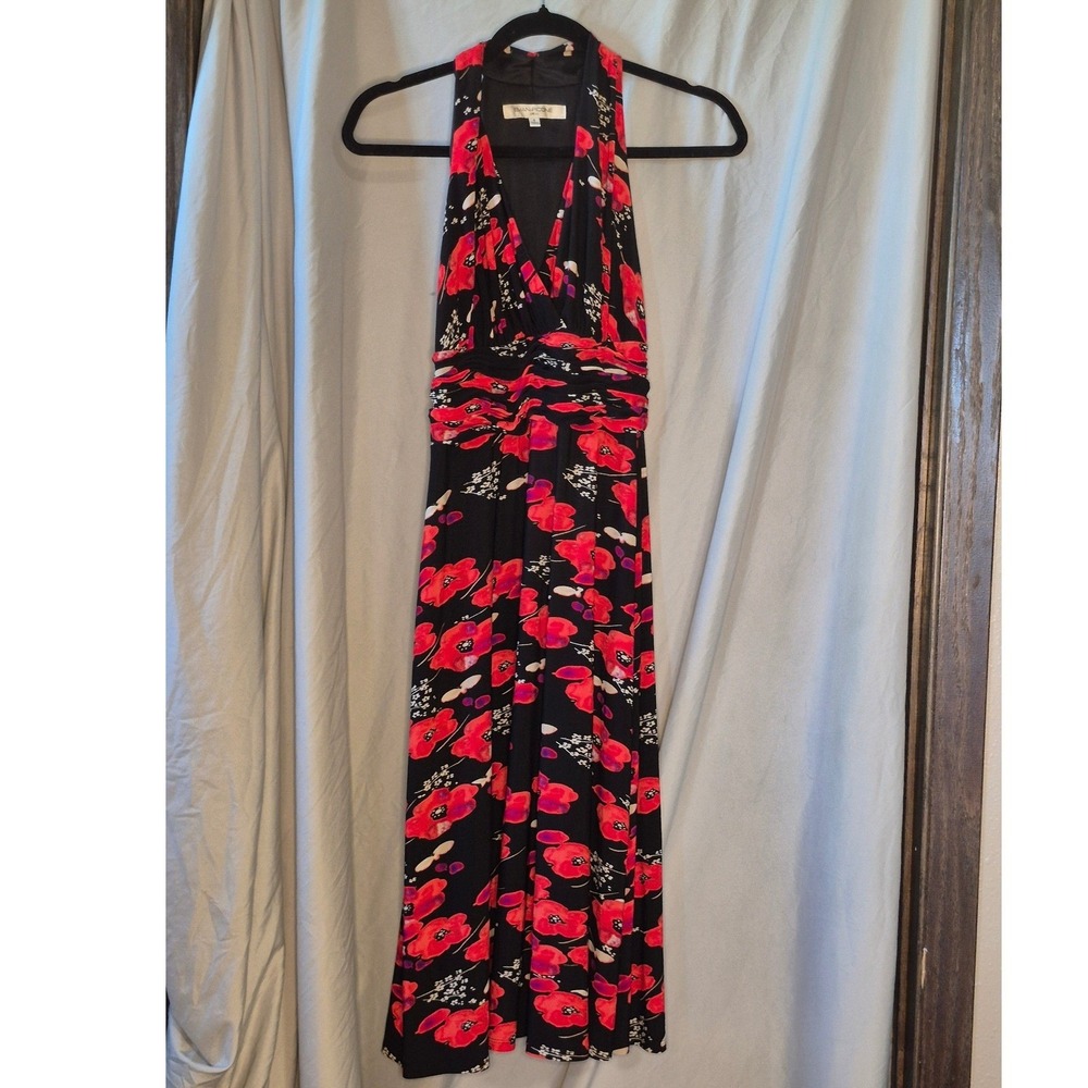 Evan-Picone Dress Womens 4 Black Red Floral Poppy Sleeveless Midi Dress